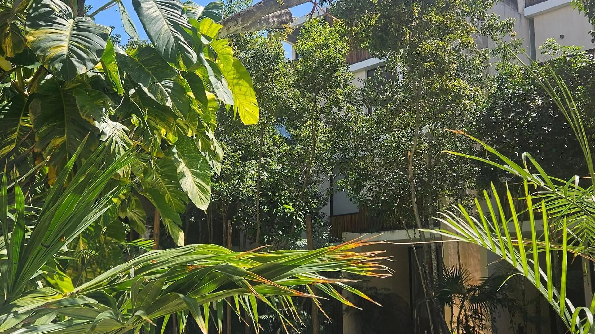 Stylish New Apartment Tulum Mexico